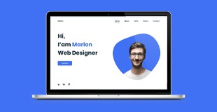 portfolio website